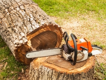 Low-Impact Tree Removal: Protecting Your Property and the Environment image