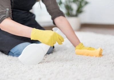 Benefits of Professional Carpet Cleaning for Your Health and Well-being blog image