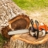 Low-Impact Tree Removal: Protecting Your Property and the Environment small image