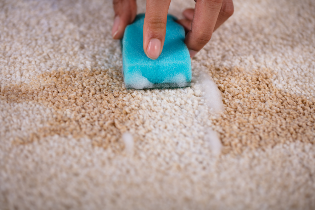 The Ultimate Guide to Extending the Lifespan of Your Carpets hero image