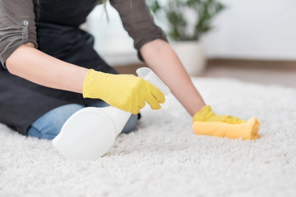 Benefits of Professional Carpet Cleaning for Your Health and Well-being hero image